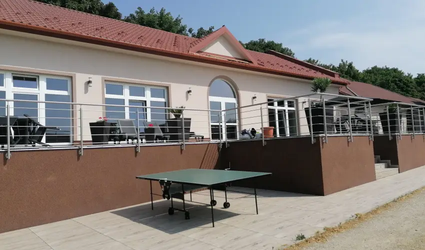 Sokor Fogad Sokorptka - Szilveszter