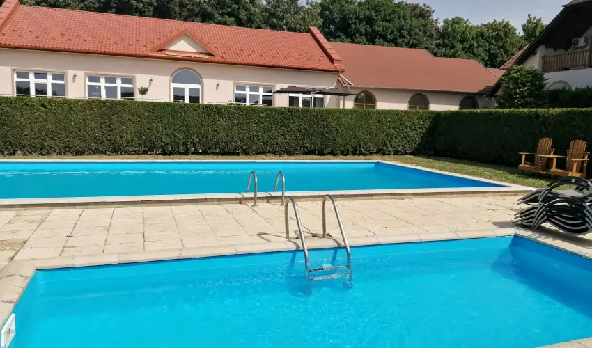 Sokor Fogad Sokorptka - Szilveszter