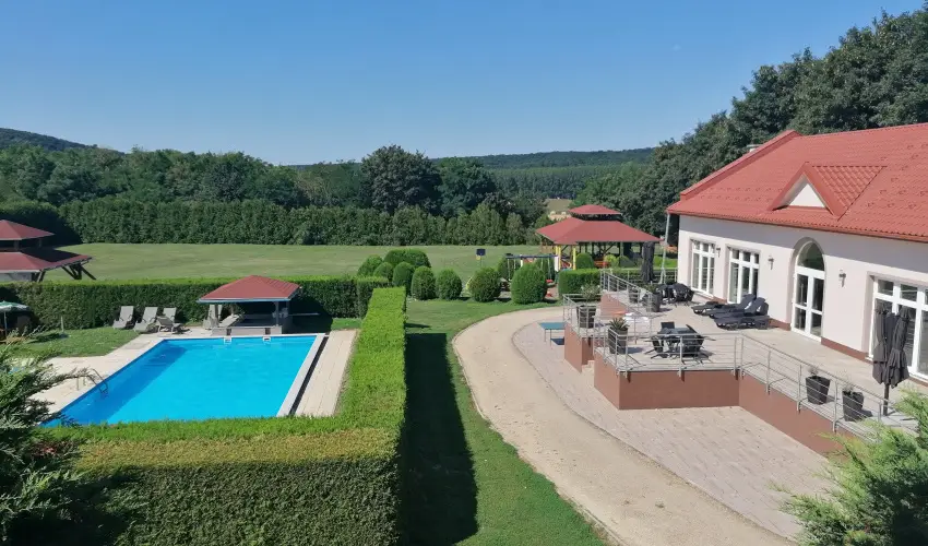 Sokor Fogad Sokorptka - Szilveszter