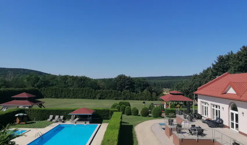 Sokor Fogad Sokorptka - Szilveszter