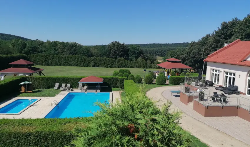 Sokor Fogad Sokorptka - Szilveszter