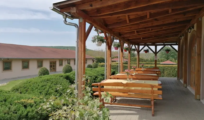 Sokor Fogad Sokorptka - Szilveszter