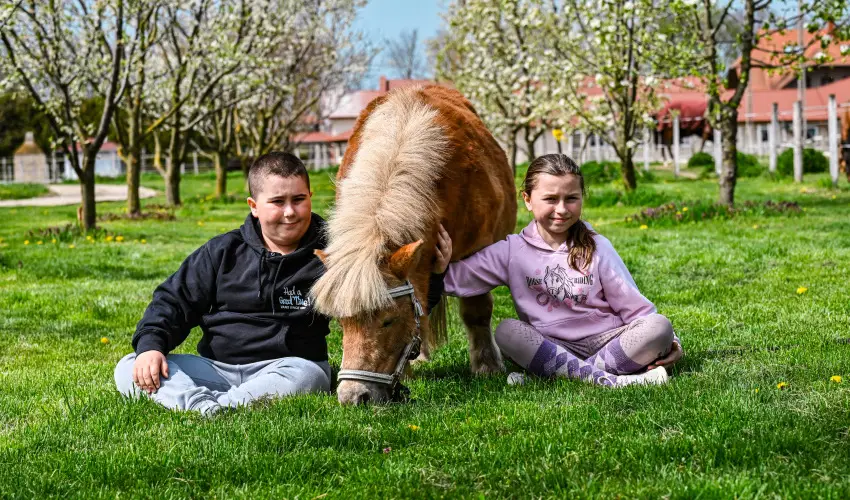 Sokor� Fogad� Sokor�p�tka - Szilveszter (min. 3 �j)