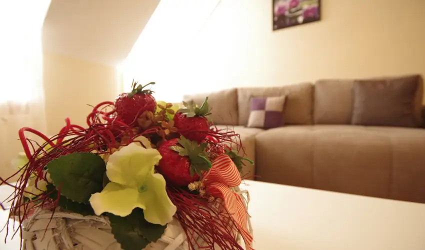 Szamcs Apartman Gyula - Szilveszter (min. 2 j)