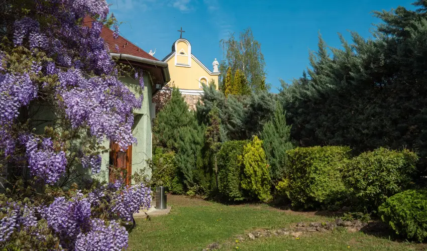 Szent Istvn Hotel Eger - Szilveszter