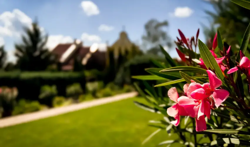Szent Istvn Hotel Eger - Szilveszter