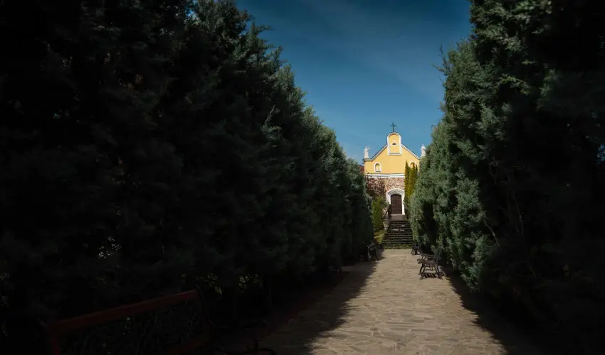 Szent Istvn Hotel Eger - Szilveszter