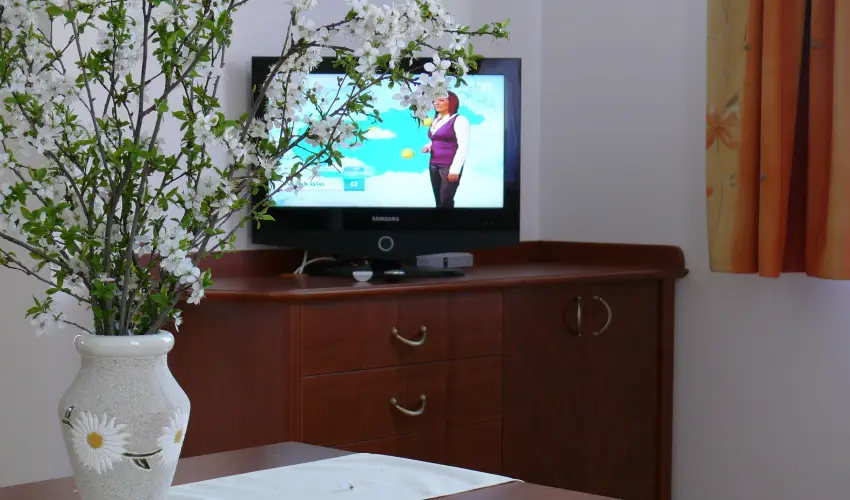 Szerencsemk Panzi Kehidakustny - Szilveszter