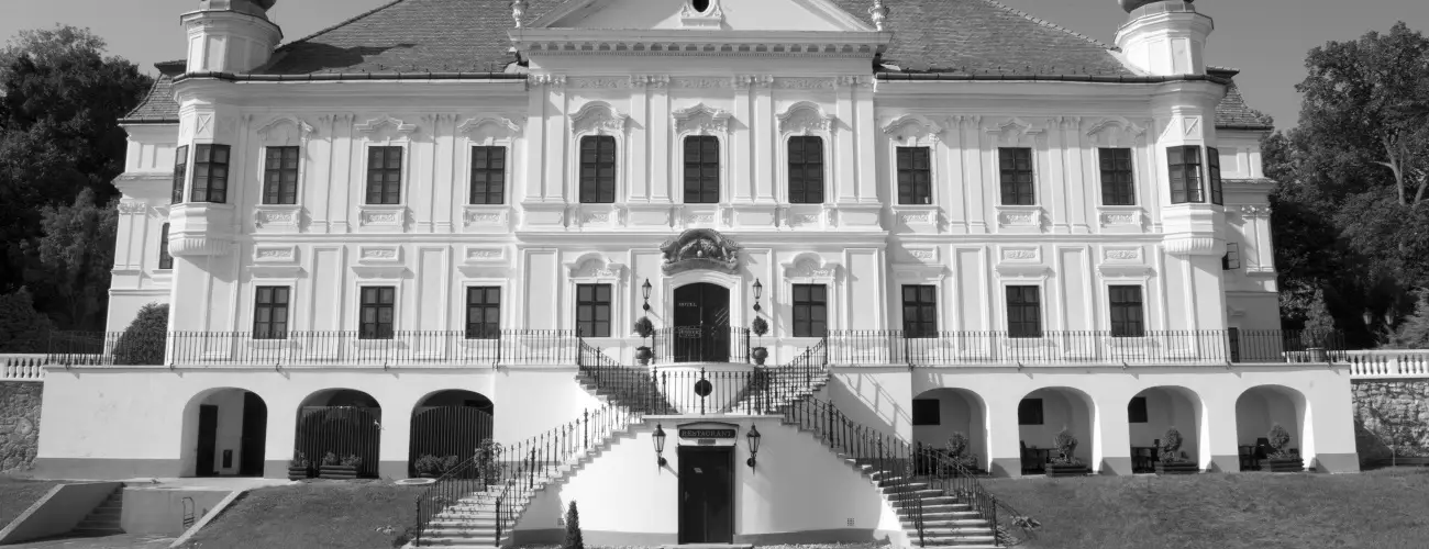 Teleki-Degenfeld Kastlyszll Szirk - Szilveszter