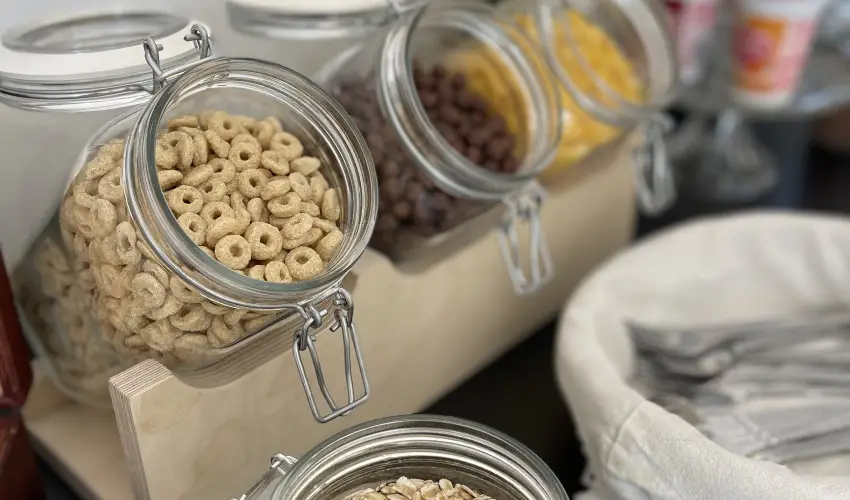 Svirg Terml Panzi Hajdnns - Szilveszter 