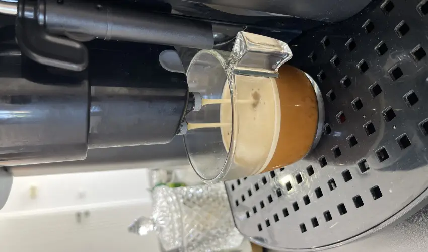 Svirg Terml Panzi Hajdnns - Szilveszter 