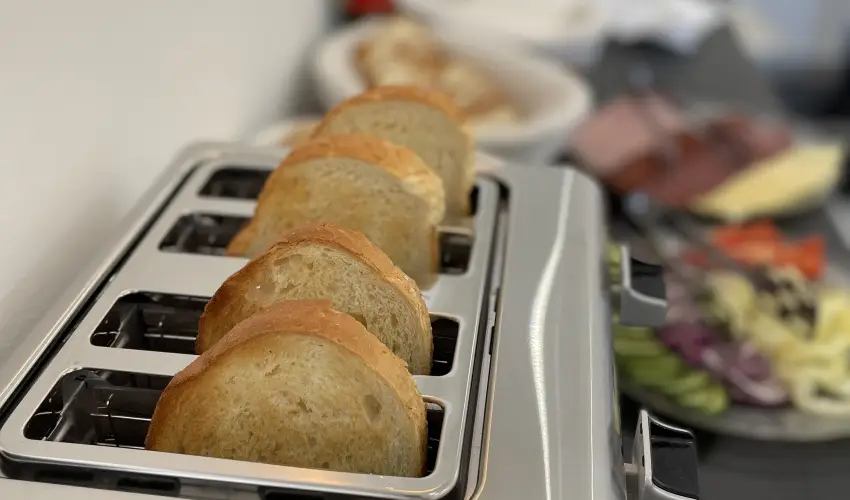 Svirg Terml Panzi Hajdnns - Szilveszter 