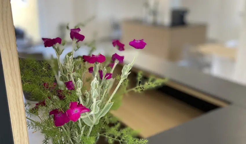 Svirg Terml Panzi Hajdnns - Szilveszter 