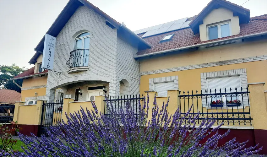 Svirg Terml Panzi Hajdnns - Szilveszter 