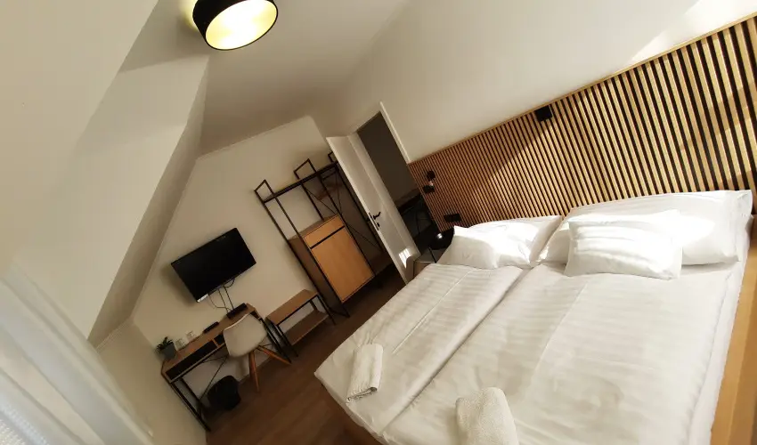 Svirg Terml Panzi Hajdnns - Szilveszter 