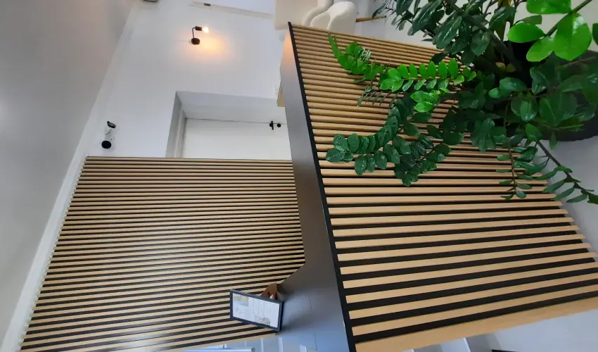 Svirg Terml Panzi Hajdnns - Szilveszter 