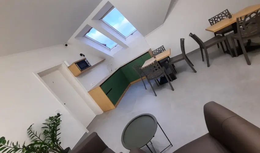 Svirg Terml Panzi Hajdnns - Szilveszter 