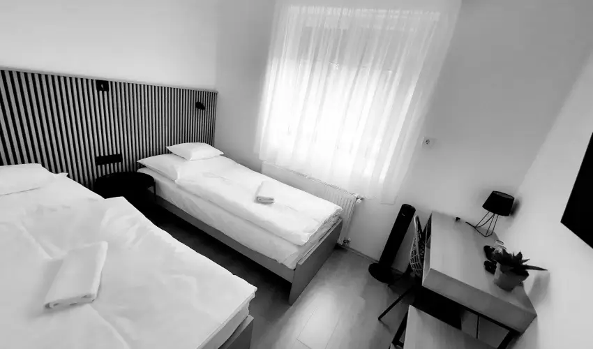S�vir�g Term�l Panzi� Hajd�n�n�s - Szilveszter 