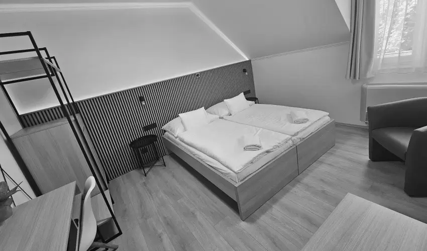 S�vir�g Term�l Panzi� Hajd�n�n�s - Szilveszter 