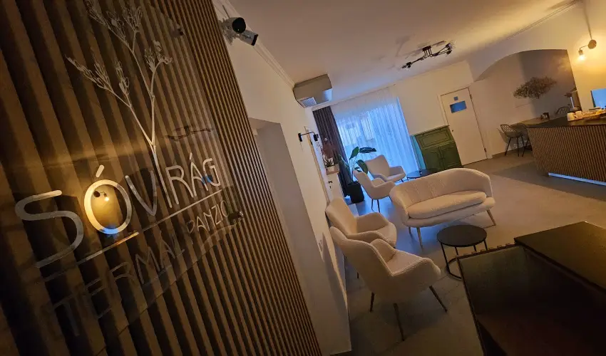 Svirg Terml Panzi Hajdnns - Szilveszter 