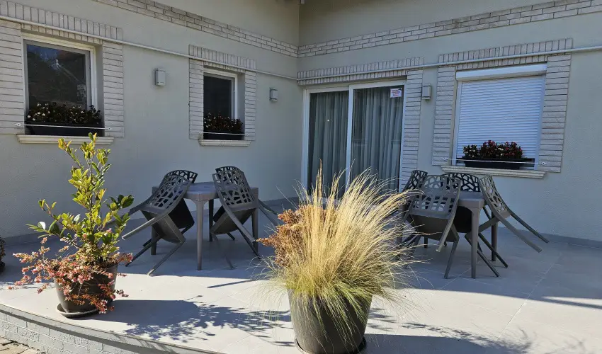 Svirg Terml Panzi Hajdnns - Szilveszter 