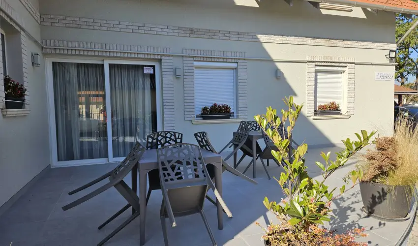 Svirg Terml Panzi Hajdnns - Szilveszter 