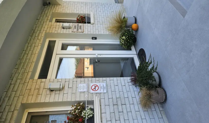 Svirg Terml Panzi Hajdnns - Szilveszter 