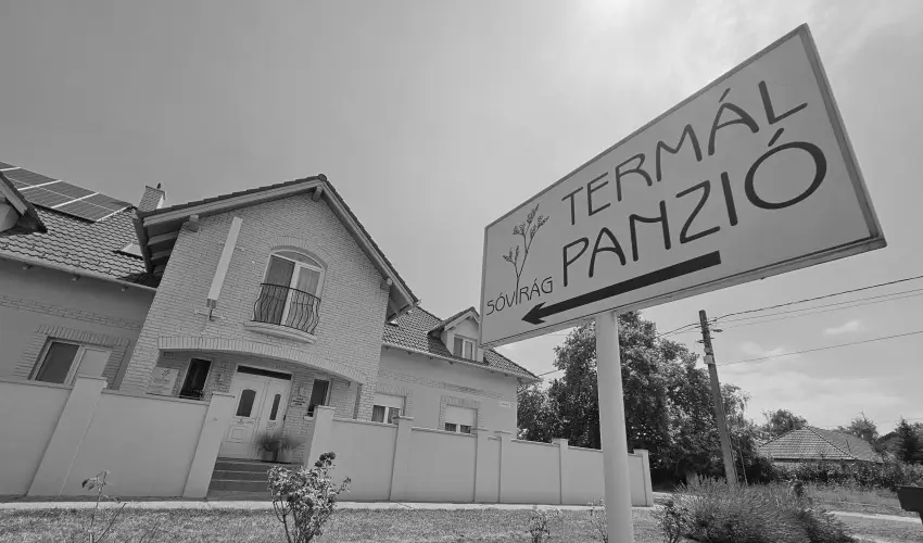 S�vir�g Term�l Panzi� Hajd�n�n�s - Szilveszter 
