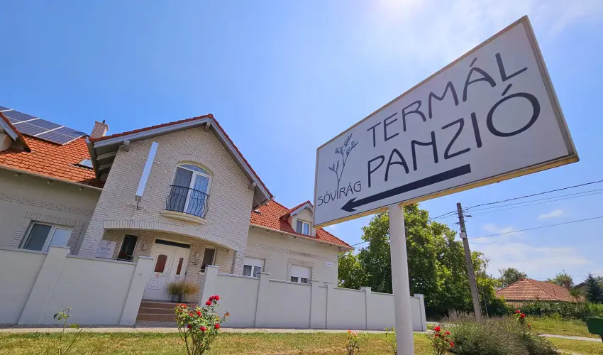 Svirg Terml Panzi Hajdnns - Szilveszter 