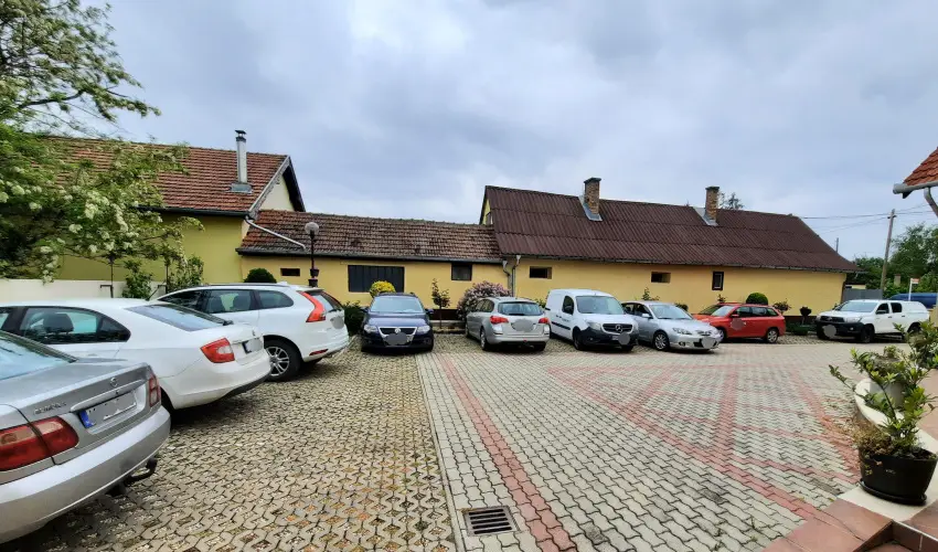 Svirg Terml Panzi Hajdnns - Szilveszter 