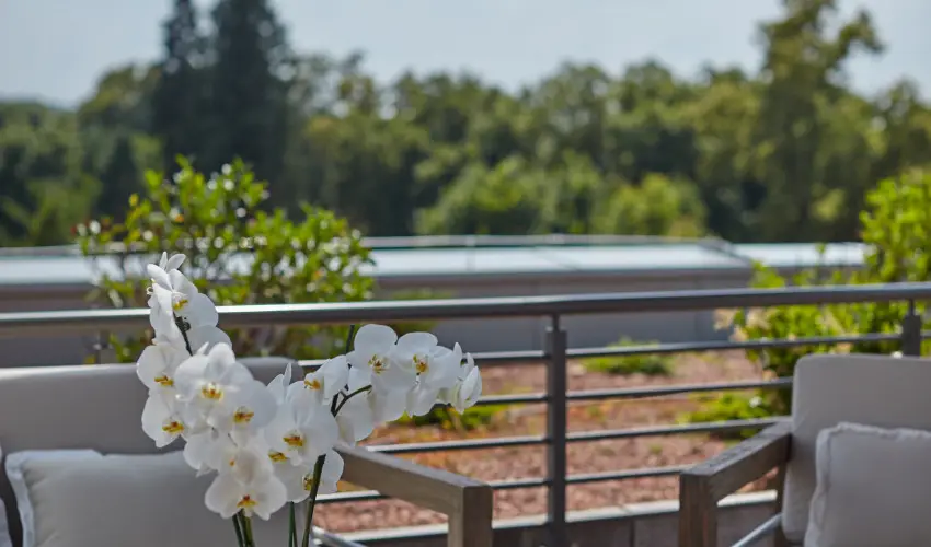 Thermal Hotel Balance  Lenti - Szilveszter (min. 3 j)