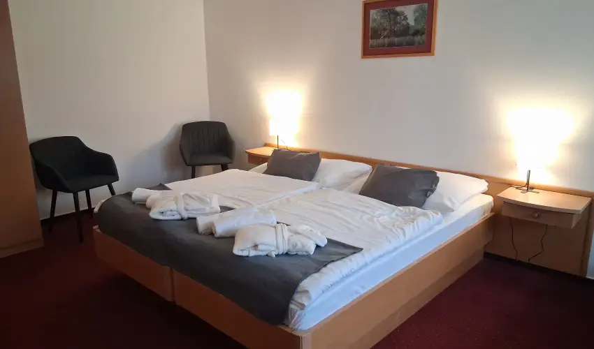 Thermal Hotel Tengelic Tengelic - Szilveszter