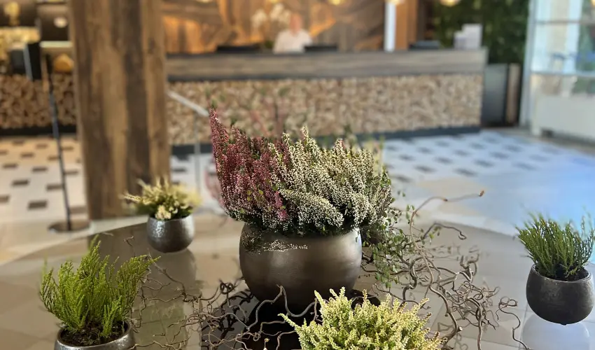 Thermal Hotel Visegrd Visegrd - Szilveszter - teljes elrefizetssel (min. 3 j)