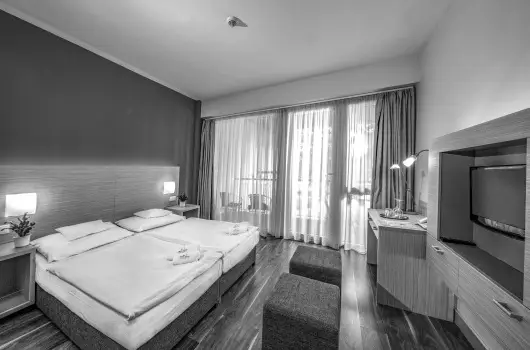 Term�l Apartmanok & Kemping Hark�ny - Szilveszter