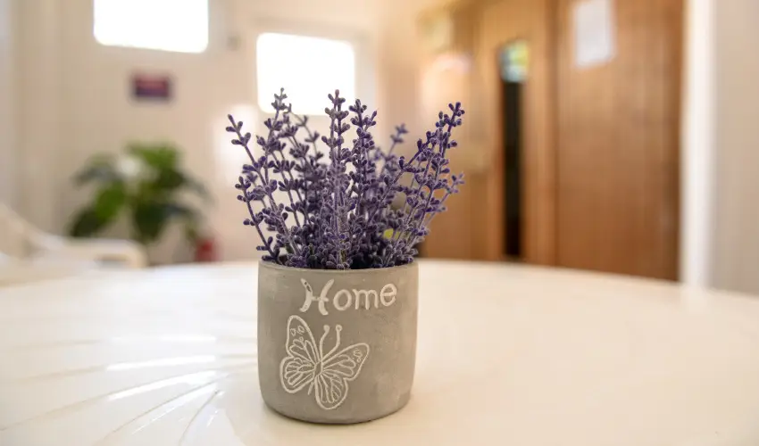 Thermal Panzi Igal Igal - Szilveszter