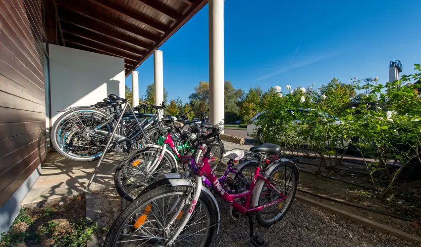 Tisza Balneum Hotel Tiszafred - Szilveszter (min. 3 j)