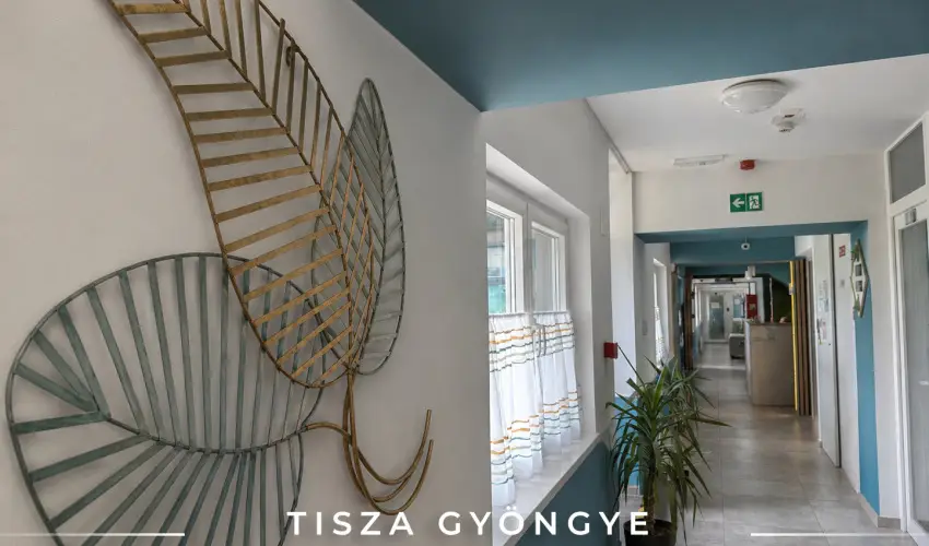 Tisza Gy�ngye Apartmanok Szeged - Szilveszter