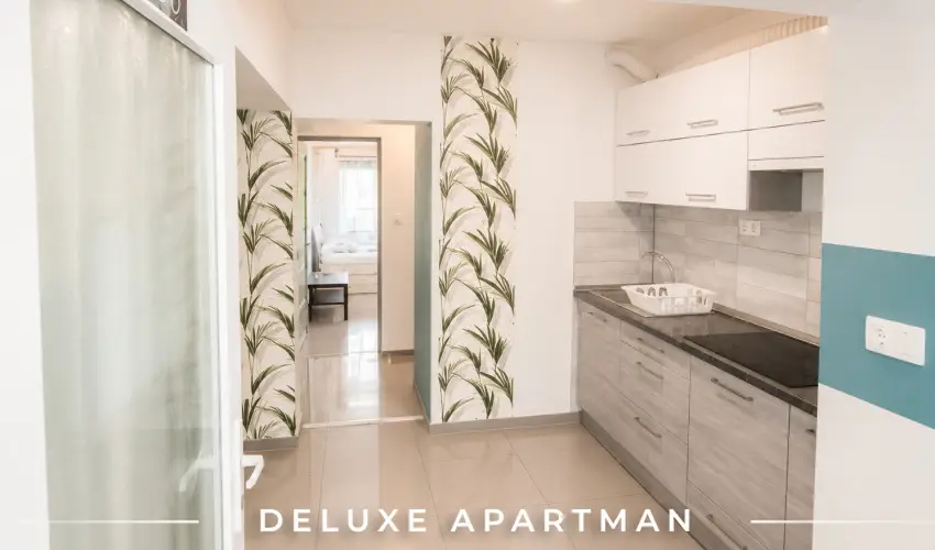 Tisza Gy�ngye Apartmanok Szeged - Szilveszter