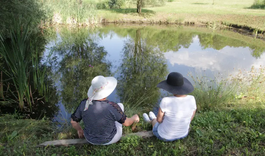 T Wellness Hotel Bnk - Szilveszter (min. 2 j)