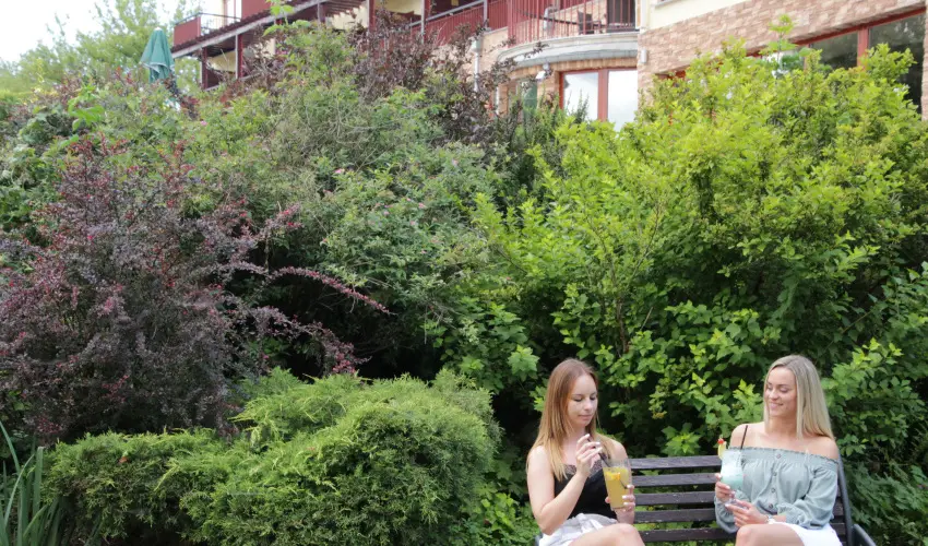 T Wellness Hotel Bnk - Szilveszter (min. 2 j)