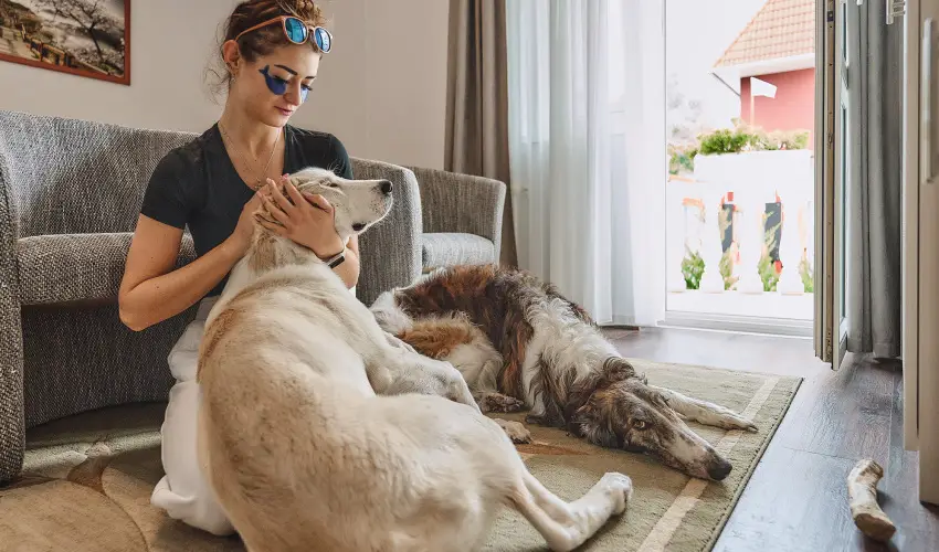 Tokajer Wellness Panzi� Keszthely - Szilveszter (min. 2 �j)