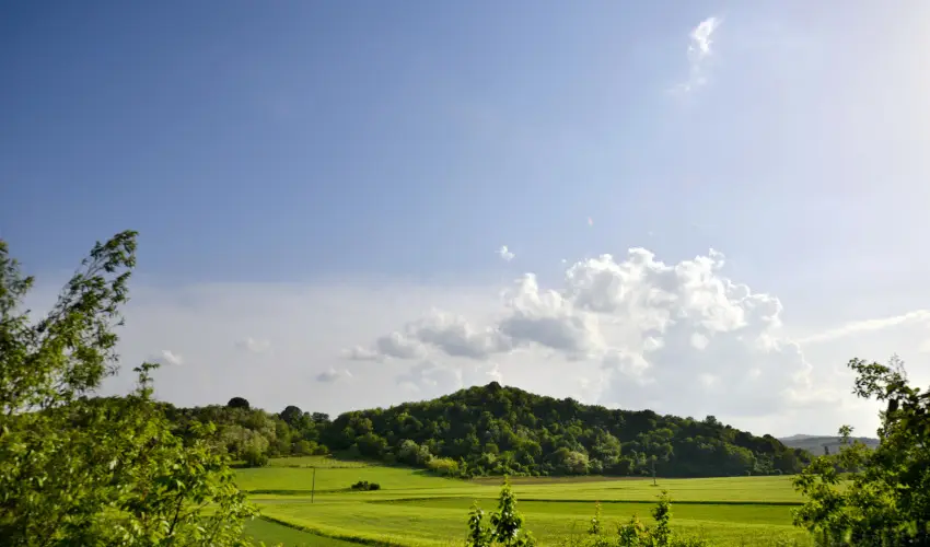 Tkert Fogad Nagymnyok - Szilveszter (min. 3 j)