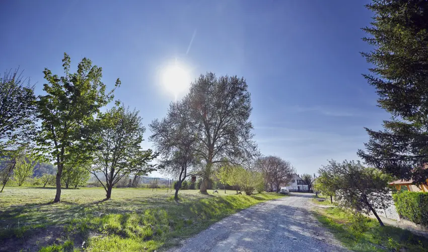 Tkert Fogad Nagymnyok - Szilveszter (min. 3 j)