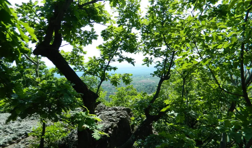 Tkert Fogad Nagymnyok - Szilveszter (min. 3 j)