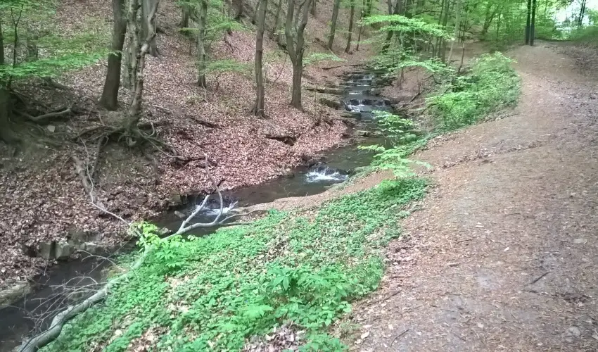 Tkert Fogad Nagymnyok - Szilveszter (min. 3 j)