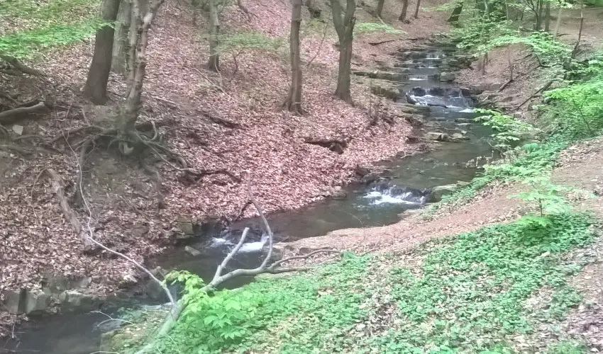 Tkert Fogad Nagymnyok - Szilveszter (min. 3 j)