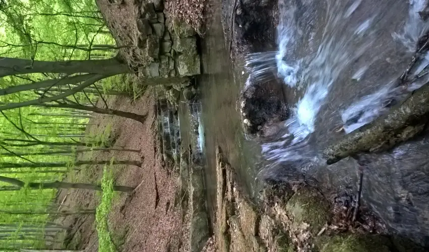 Tkert Fogad Nagymnyok - Szilveszter (min. 3 j)