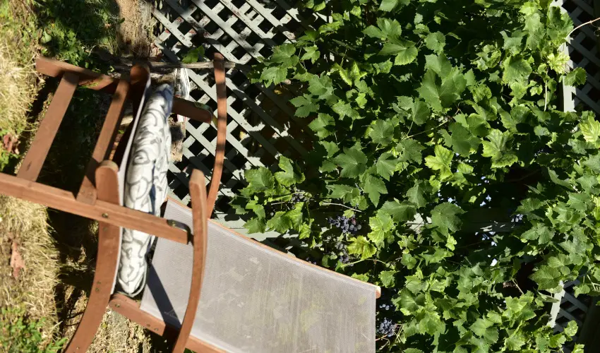 Torncos Vendghz Krshegy - Szilveszter (min. 3 j)