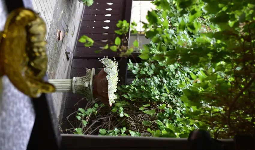 Torncos Vendghz Krshegy - Szilveszter (min. 3 j)