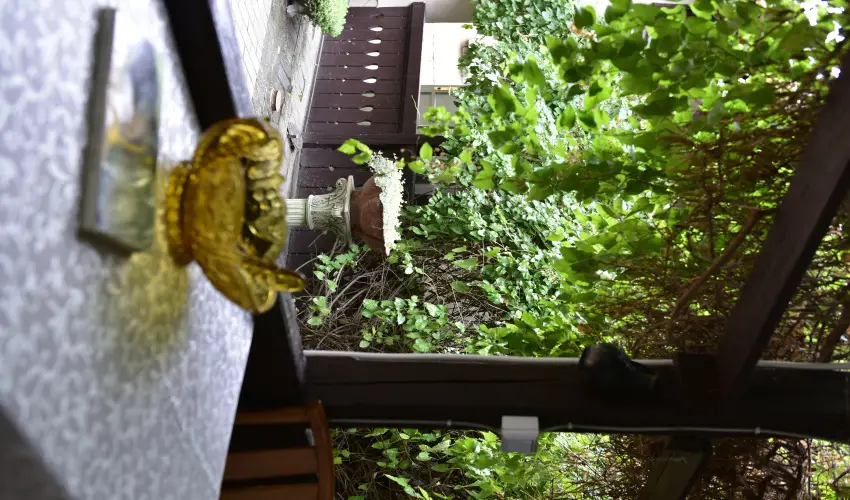 Torncos Vendghz Krshegy - Szilveszter (min. 3 j)